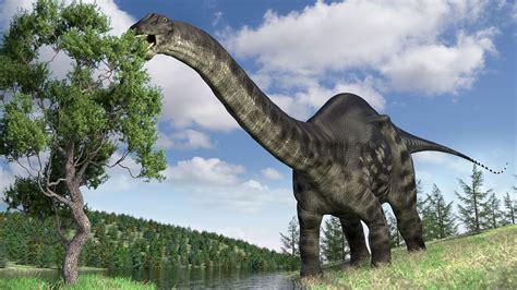 brontosaurus name hoax.